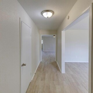 imgi_118_img-9