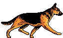 3468f3be8b12469533b9aaeef9e6e1d7.gif