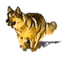 463a35f873eed155198017833c7264e5.gif