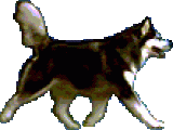 6045ea1a5488fdc9fba143870895cb74.gif