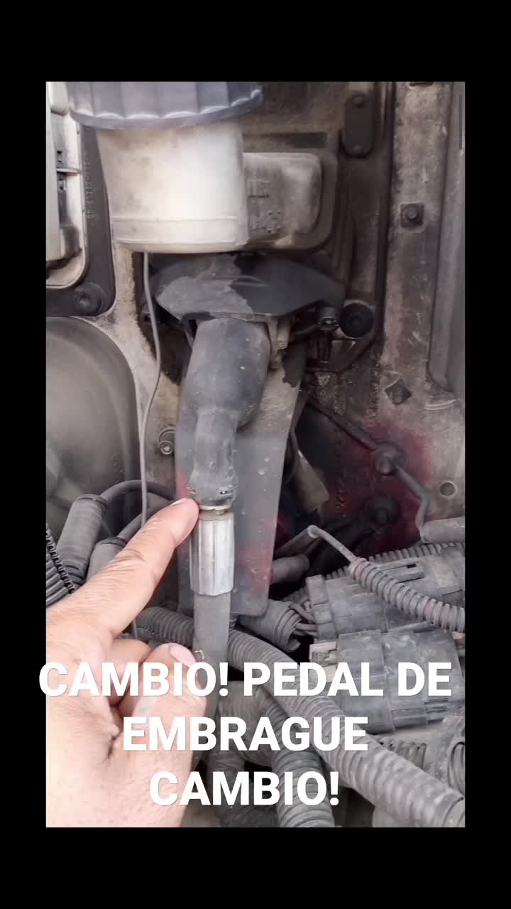 c8b5b0bff5b9d08d7a9bb03af490de3f.mp4