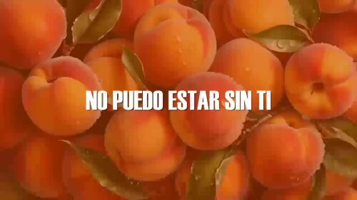 b9e374c652bd464f0516b3df72d5b557.mp4