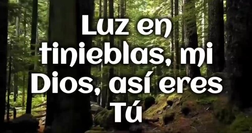 0c97e73eb39e177cd3fac7a4a8df927b.mp4